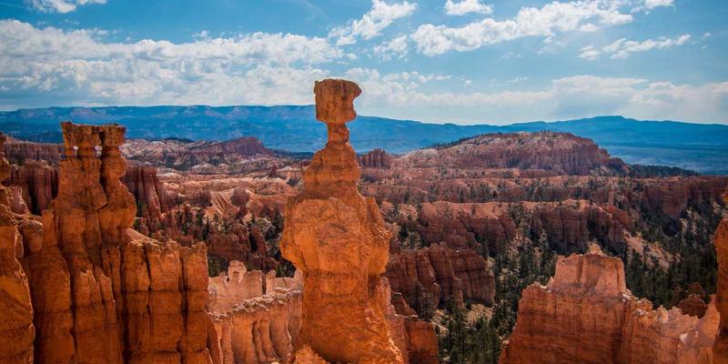 从智能家居到智慧农业：深圳万世达的传感器硬件研发实践与挑战