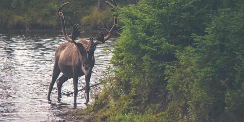 揭秘深圳万世达：物联网与智能硬件背后的PCBA核心工艺与质量密码