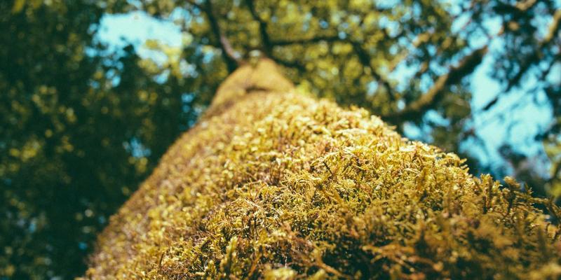 深圳万世达40:深耕电子产品研发,引领物联网时代创新浪潮