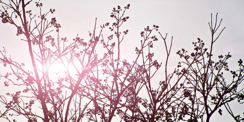 深圳万世达如何通过精益生产管理，驱动消费电子与物联网硬件制造效率与利润双增长