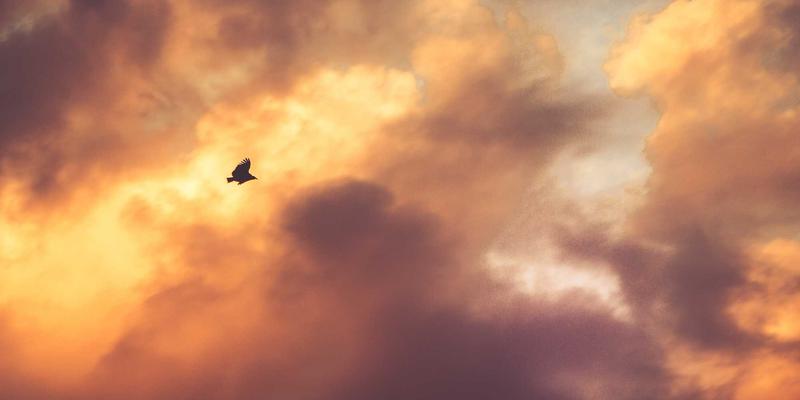 深圳万世达物联网硬件设计：揭秘专业质量检测标准与全流程