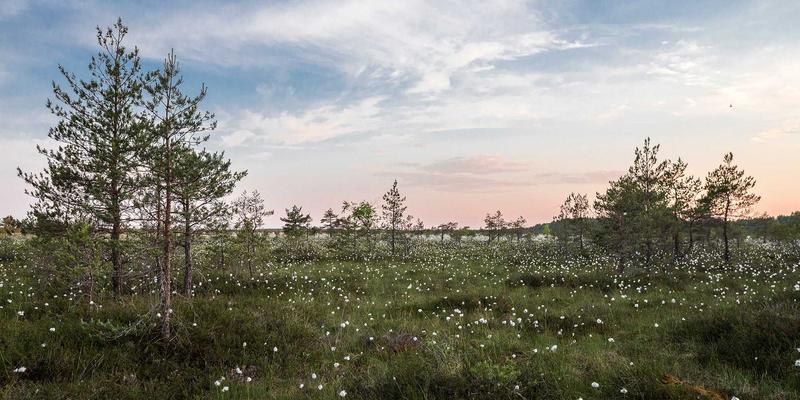 硬件设计新引擎：深圳万世达如何以ODM/OEM服务驱动消费电子品牌出海